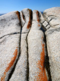 P2198758_4w.jpg