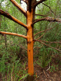 P2208804_4w.jpg