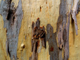 P2208827_4w.jpg