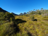 P2239065_4w.jpg
