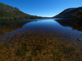 P2239140_4w.jpg
