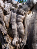 P2249649_4w.jpg