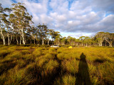 P2259663_4w.jpg