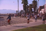 1996015094 Venice Beach front LA.jpg