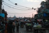 2014078512 Monkeys Chandni Chowk Delhi.JPG