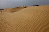 2014079189 Sand Dunes Thar Desert.JPG