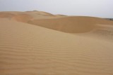 2014079200 Sand Dunes Thar Desert.JPG