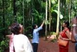 2014079839 Tropical spice plantation Keri.JPG