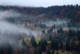 2016108834 Mist Stara Fuzina.jpg