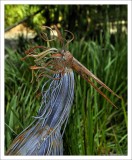 MINTER GARDENS GALLERY