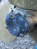 Z-IMG_5072.JPG