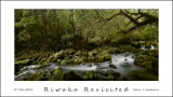 Riwaka Revisited