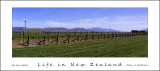 Life in New Zealand 01