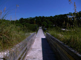 Boardwalk toward campground sm.jpg