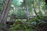 IMG_4337.jpg