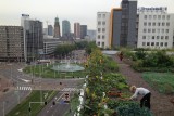 Groenten telen op een Rotterdams kantoordak