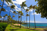 Kapalua Bay 36189