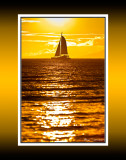 Sunset Sail RD-654 CT .jpg