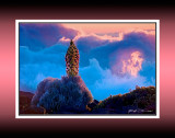 Ahinahina Blue RD-127 BC CT .jpg