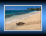 Heading Home RD-726 45942 BC CT .jpg