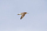 low res _MG_0616.jpg