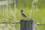 low res _MG_0646.jpg
