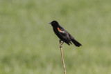 low res _MG_0723.jpg