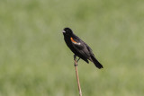 low res _MG_0725.jpg