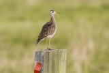 low res _MG_0754.jpg