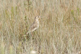 low res _MG_0980.jpg