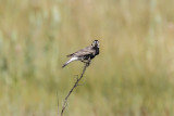 low res _MG_1082.jpg