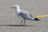 low res _MG_1096.jpg