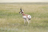 low res _MG_1432.jpg