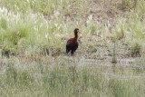 low res _MG_1512.jpg