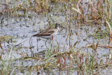 low res _MG_1547.jpg