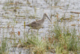 low res _MG_1550.jpg