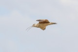 low res _MG_1688.jpg