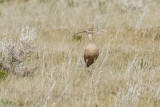 low res _MG_1710.jpg