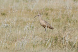 low res _MG_1716.jpg