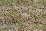 low res _MG_1727.jpg