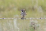 low res _MG_1834.jpg