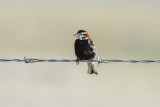 low res _MG_2007.jpg