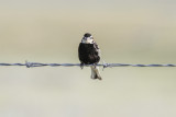 low res _MG_2008.jpg