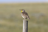low res _MG_2010.jpg