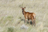 low res _MG_2045.jpg