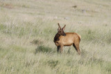 low res _MG_2055.jpg