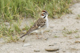 low res _MG_3565.jpg