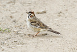 low res _MG_3568.jpg