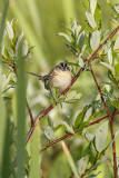 low res _MG_4107.jpg
