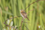 low res _MG_4134.jpg